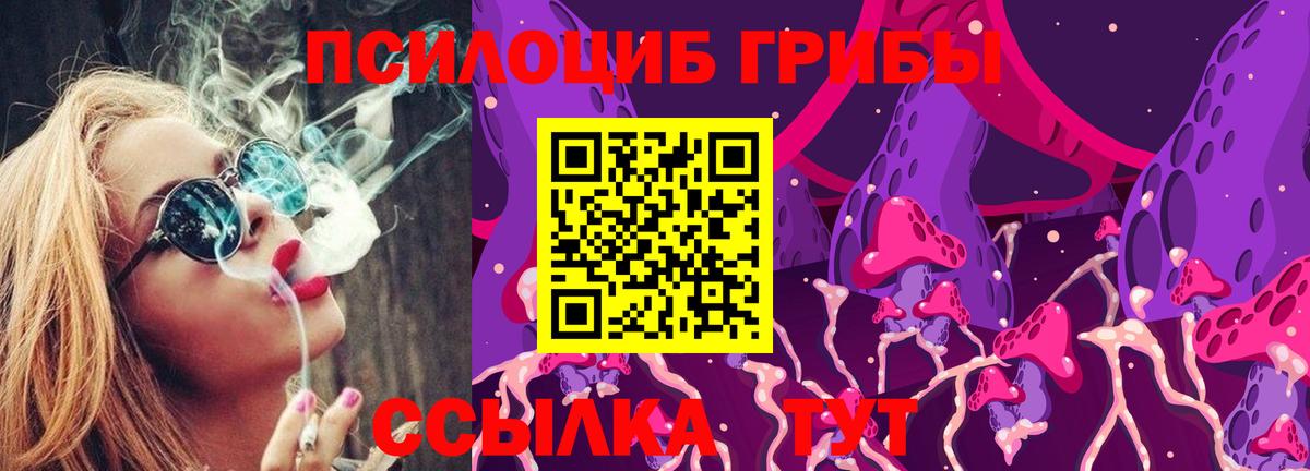 Псилоцибиновые грибы GOLDEN TEACHER Майский
